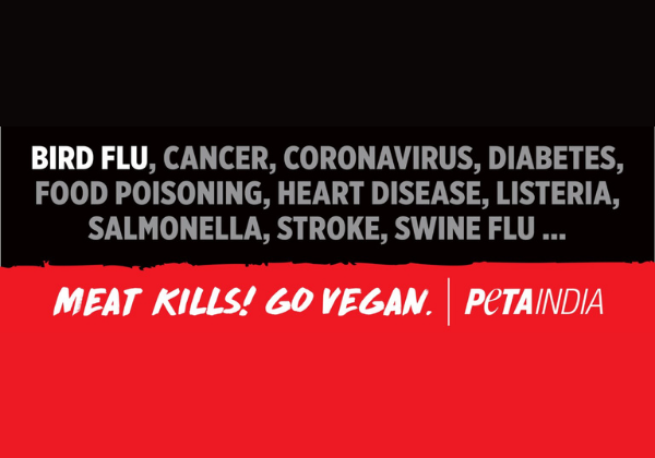 Child’s Bird Flu Death Prompts PETA India Warning Billboard
