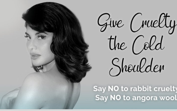 Jacqueline Fernandez Gives Angora the Cold Shoulder for PETA India