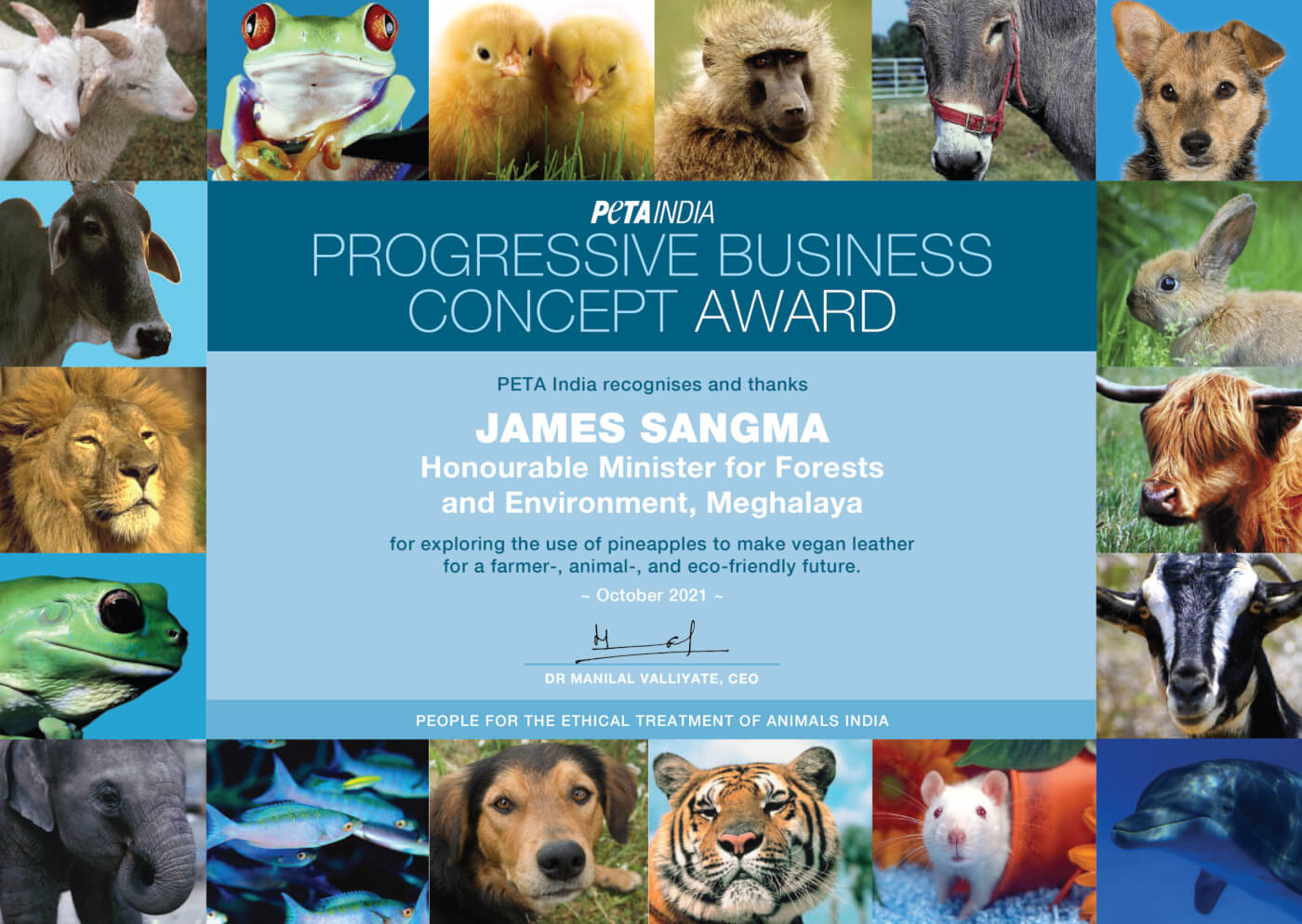 Meghalaya Environment Minister Wins PETA India Award for Pineapple-Leather  Plan - Blog - PETA India