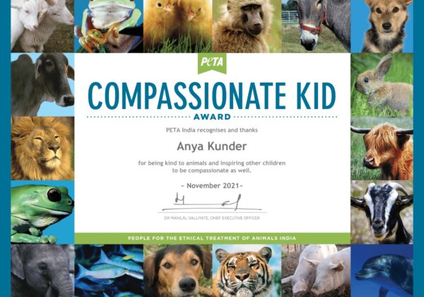 Farah Khan Kunder’s Daughter Anya Wins a ‘Compassionate Kid Award’ From PETA India