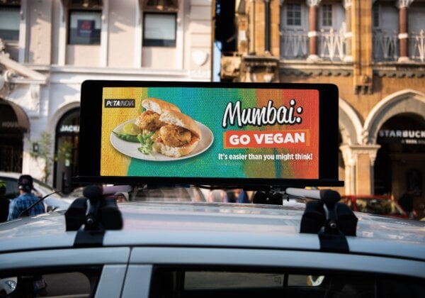 Mumbai’s Vada Pav Features in PETA India Vegan Taxi Ad Blitz With LytAds