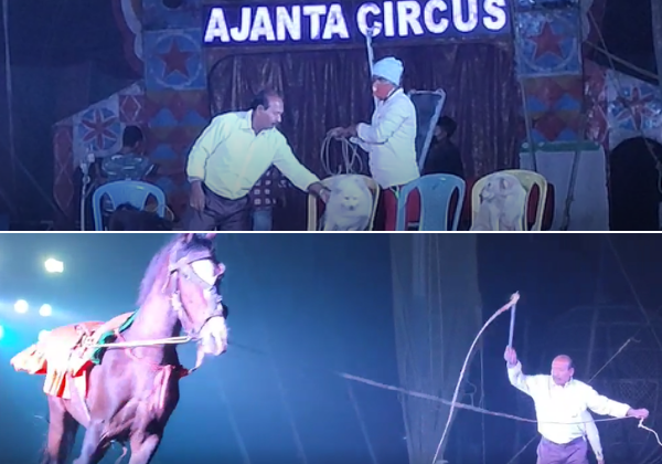 PETA इंडिया की शिकायत के बाद एनिमल वेलफेयर बोर्ड ने पश्चिम बंगाल सरकार को अजंता सर्कस से जानवरों को जब्त करने का आदेश दिया