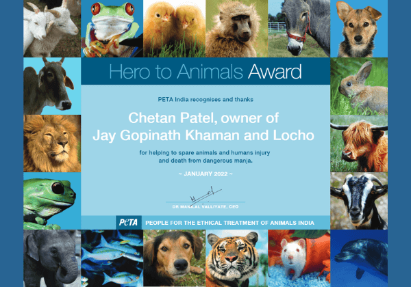 Surat Khaman Seller Nabs PETA India Award for Saving Birds - Blog - PETA India Surat Khaman Seller Nabs PETA India Award for Saving Birds - Blog - PETA India