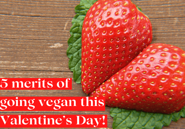 5 Reasons to Go Vegan and Turn Up Your Charm This Valentine’s Day