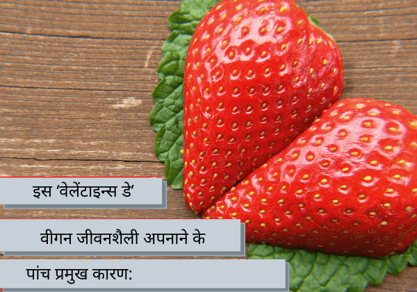 वीगन जीवनशैली अपनाकर इस ‘वेलेंटाइन्स डे’ को ख़ास बनाने के 5 प्रमुख कारण