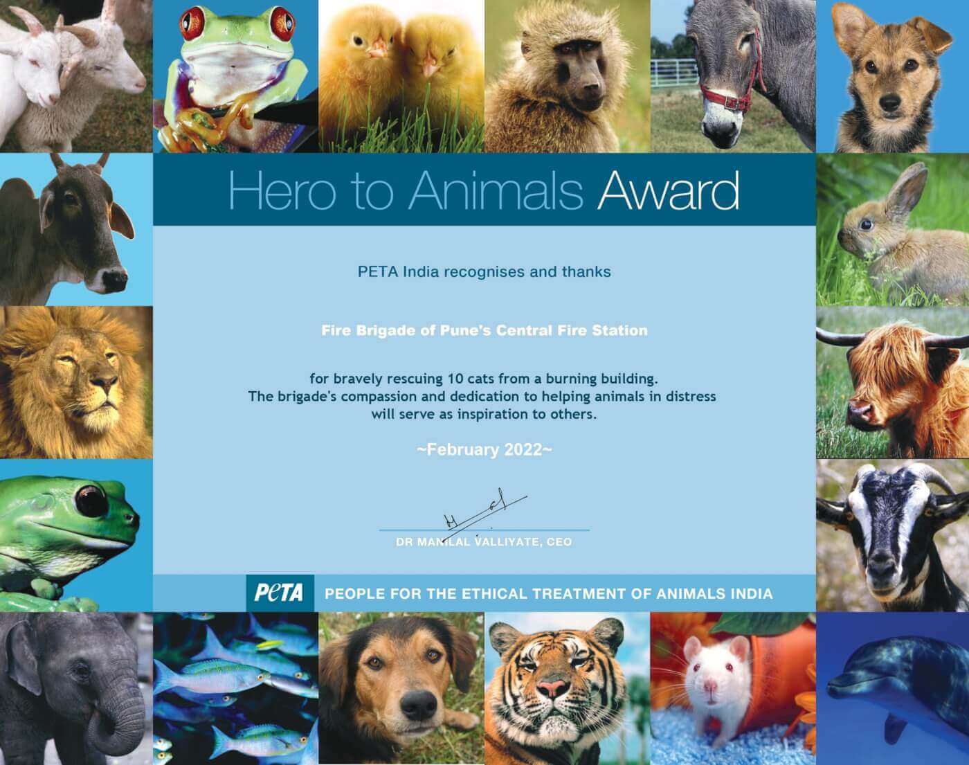 PETA India Honours Pune Firefighters for Saving the Lives of 10 Cats Caught in a Fire - Blog - PETA India PETA India Honours Pune Firefighters for Saving the Lives of 10 Cats Caught in a Fire - Blog - PETA India
