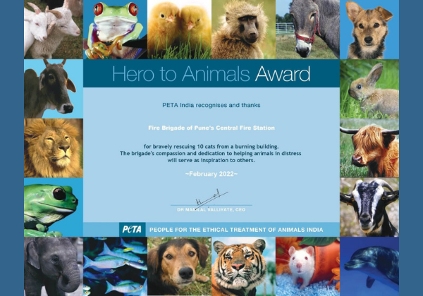PETA इंडिया ने आग में फंसी 10 बिल्लियों की जान बचाने के लिए पुणे के दमकल कर्मियों को सम्मानित किया