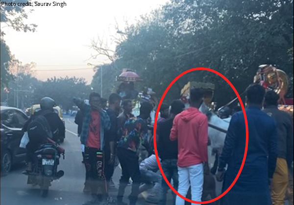 कोलकाता स्थित “विक्टोरिया मेमोरियल” के पास घोड़े को कुचलने वाले अपराधियों के खिलाफ़ FIR दर्ज़