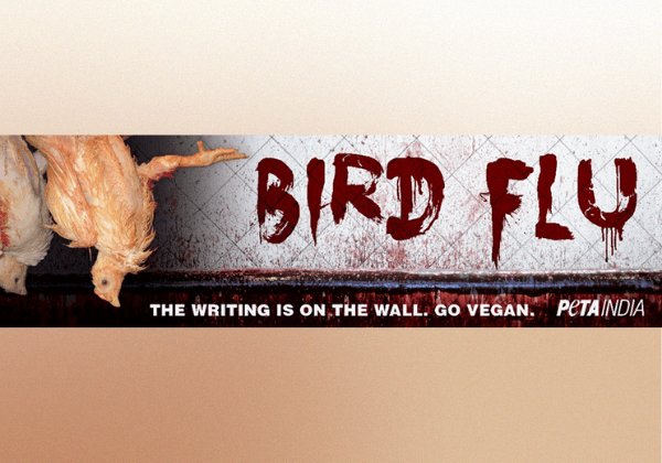PETA India Responds to Patna and Thane Bird Flu Outbreak With ‘Go Vegan’ Billboard