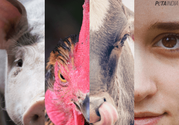 हमें सभी महिलाओं के हक़ में आवाज़ उठानी चाहिए