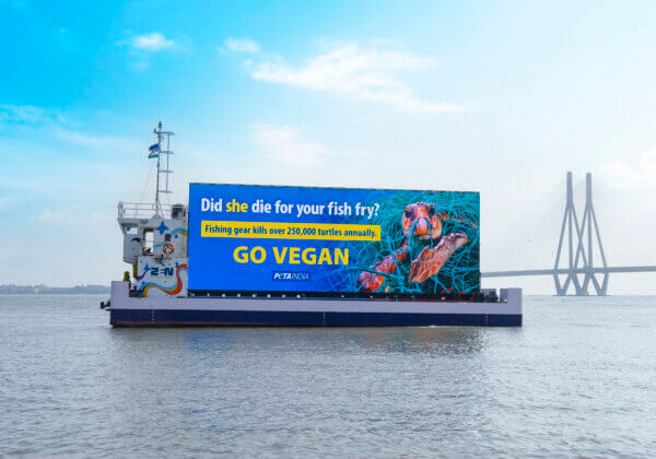 PETA India’s Special Sea Billboards Highlight the Marine Victims of Discarded Plastic Fishing Gear for Earth Day