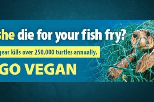 PETA इंडिया ने ‘पृथ्वी दिवस’ के अवसर पर फिशिंग नेट सामग्री से मरने वाले समुद्री जानवरों की याद में बिलबोर्ड लगवाए