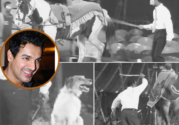John Abraham Urges BookMyShow to Support Animal-Free Circuses Only