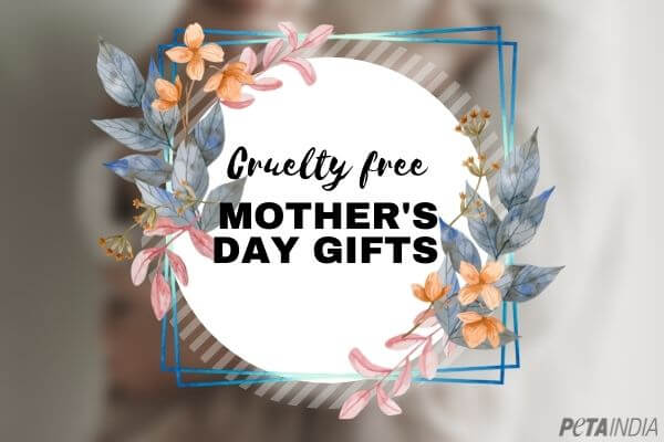 Looking for a Mother’s Day Gift? We’ve Got You Covered