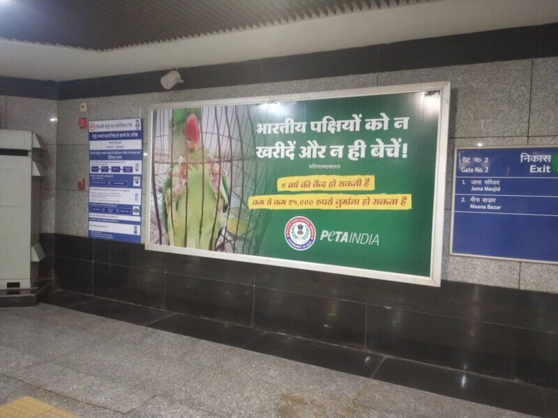 Birds in Cages Billboard in Delhi Jama Majid Metro Panel