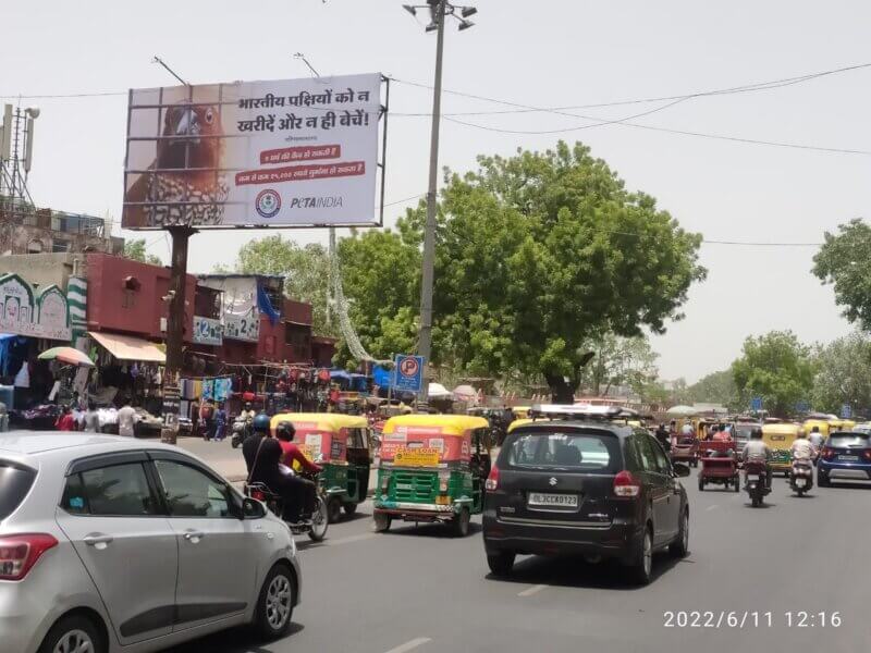 PETA India Birds in cages billboards