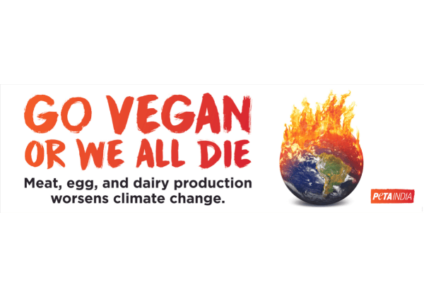 ‘Go Vegan or We All Die’ Warns PETA India on World Environment Day