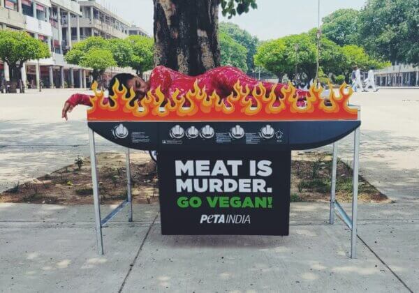 “विश्व मांस-मुक्त दिवस” से पहले एक इंसान को जलती आग पर भूनने का डेमो प्रदर्शन
