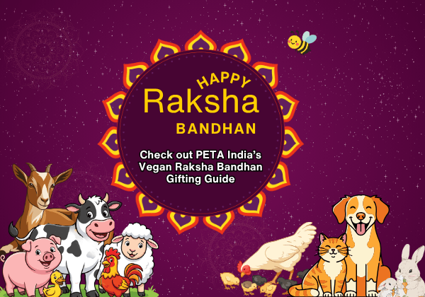 PETA India’s Vegan Raksha Bandhan Gift Guide Is Here!