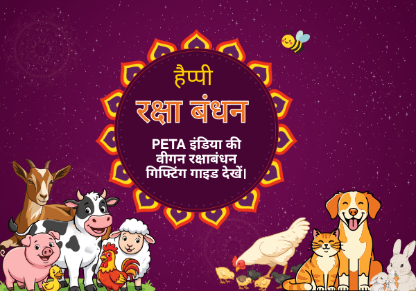 रक्षाबंधन के अवसर पर PETA इंडिया के वीगन उपहार गाईड देखें
