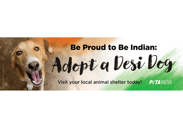 PETA India Independence Day Billboard Campaign Encourages Desi Dog Adoption and Warns About the Dangers of Buying Foreign Breeds