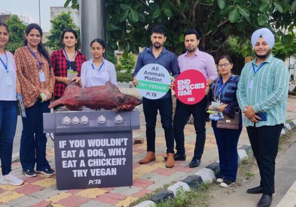 “World Day for the End of Speciesism” से पहले अमृतसर में एक कुत्ते को जलती आग पर भूनने का डेमो प्रदर्शन