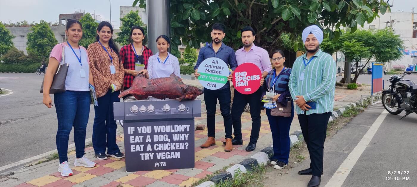 ‘Charred Dog’ ‘Barbecued’ in Amritsar in Advance of World Day for the End of Speciesism