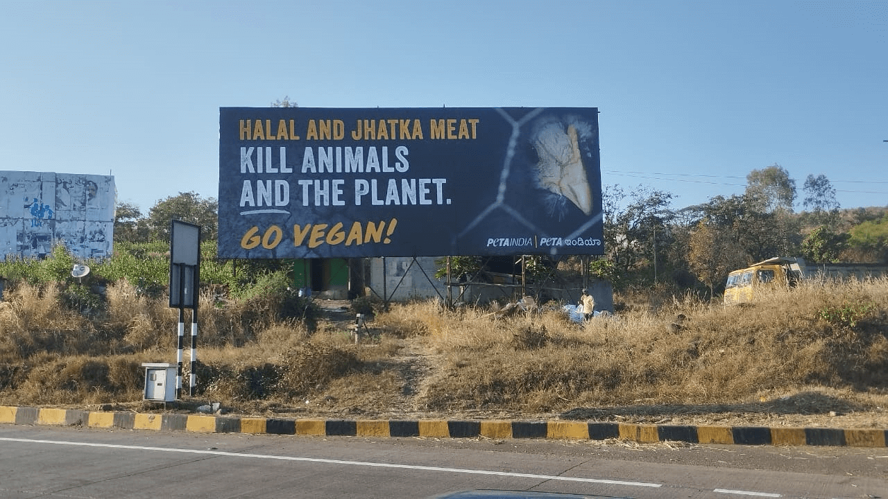 Halal and Jhatka Meat Kill Animals and Planet, Say PETA India's New Billboards in Belagavi - Blog - PETA India Halal and Jhatka Meat Kill Animals and Planet, Say PETA India's New Billboards in Belagavi - Blog - PETA India