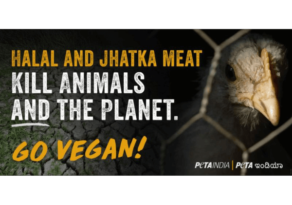 PETA इंडिया ने बेलगावी में बिलबोर्ड लगवाकर जनता को सचेत किया कि हलाल और झटका दोनों पशुओं एवं इस ग्रह के लिए जानलेवा हैं