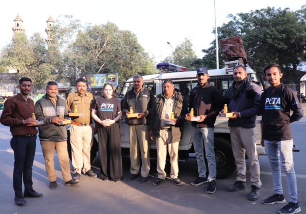 How PETA India and Ahmedabad Police Worked Together on Makar Sankranti