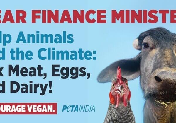 PETA इंडिया द्वारा बजट सत्र से पहले वित्त मंत्री से बिलबोर्ड अभियान द्वारा मांस, अंडा और डेयरी उद्योग पर रोक लगाने का अनुरोध किया गया