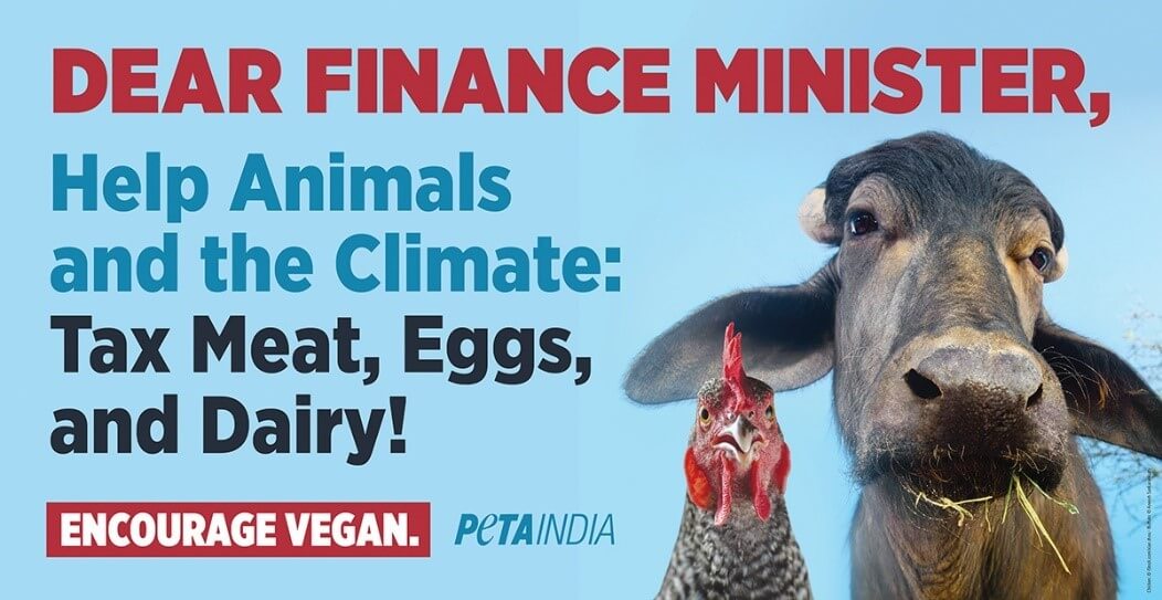 Billboard Appeal to Finance Minister Ahead of Budget Session by PETA