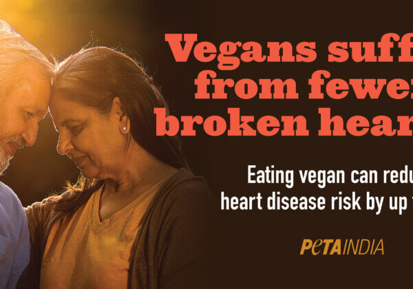 ‘Vegans Suffer From Fewer Broken Hearts’ – Life-Saving Valentine’s Day Tip From PETA India in Chronic Heart Disease Capital of the World