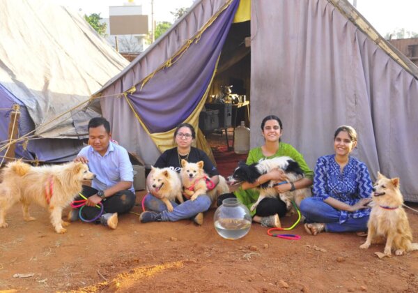 PETA India: India's Animal Rights Organisation | PETA India PETA India: India's Animal Rights Organisation | PETA India