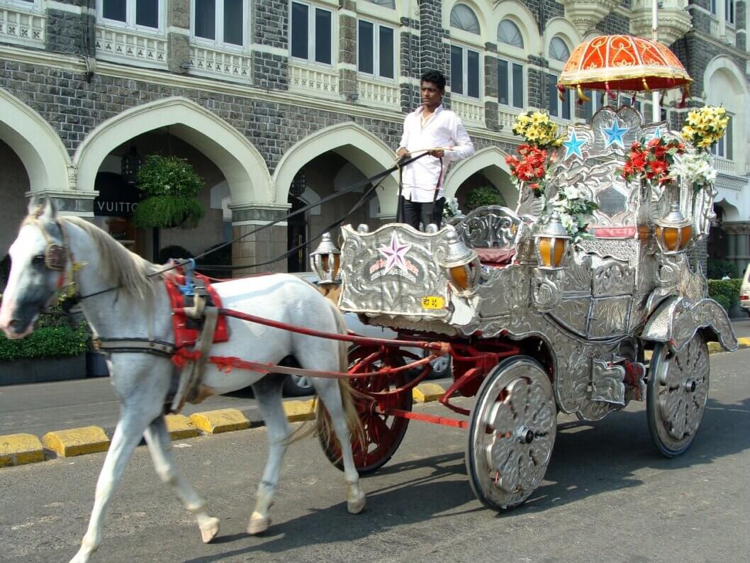 Mumbai Horse Carriage Owners’ Appeal Dismissed by Supreme Court Ban