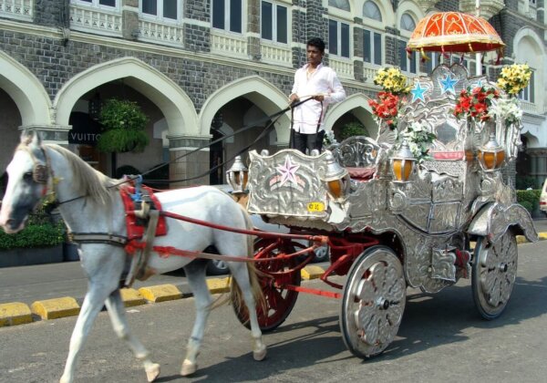 मुंबई घोड़ागाड़ियों के मालिकों की अपील खारिज, सुप्रीम कोर्ट द्वारा क्रूर विक्टोरिया गाड़ियों पर लगाई गयी रोक ज़ारी रहेगी