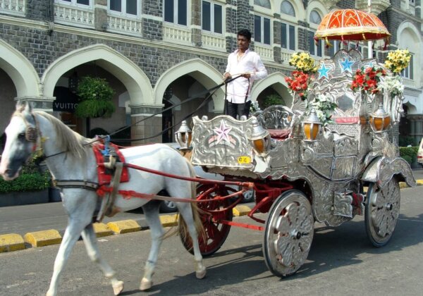 Mumbai Horse Carriage Owners’ Appeal Dismissed by Supreme Court – Ban on Cruel Victoria Carriages Remains
