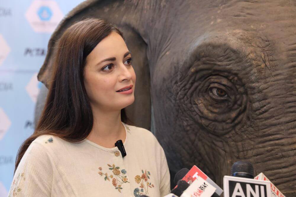 PETA India’s Ellie the Animatronic Elephant Is Educating Children About Kindness