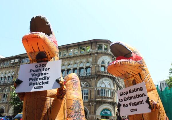 PETA इंडिया के ‘डायनासोर’ ने G20 वर्किंग ग्रुप से आग्रह किया: कृपया वीगन जीवनशैली अपनाए नहीं तो सब समाप्त हो जाएगा