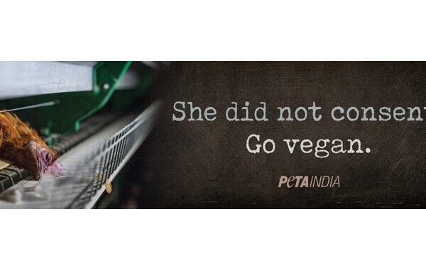PETA इंडिया ने अपने नए प्रिंट अभियान के द्वारा कॉलेज छात्रों को जागरूक किया कि ‘मुर्गियां क्रूरता से सहमत नहीं हैं’