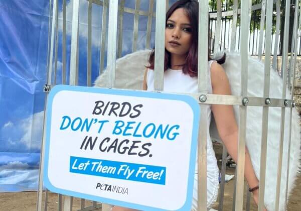 Caged ‘Bird’ Urges Hyderabad Residents to Let Birds Fly Free