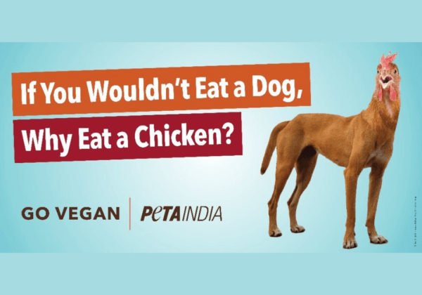 Dog Meat Allowance in India Prompts PETA India to Erect Pro-Vegan Billboards Across Cities for World Meat Free Day