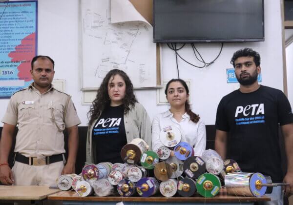 दिल्ली पुलिस और PETA इंडिया ने स्वतंत्रता दिवस से पहले दिल्ली के बाज़ारों से प्रतिबंधित मांझा जब्त किया