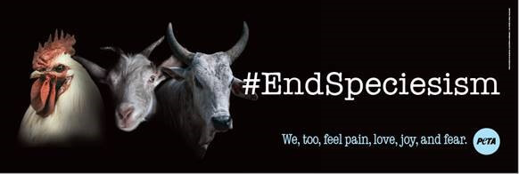 ‘End Speciesism,’ Say Chicken, Goat, and Cow on New PETA India Billboards