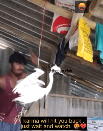 PETA India Offers Reward of Up to Rs 50,000 for Information Leading to Arrest of West Bengal Man Beating Little Egret Bird in Viral Video