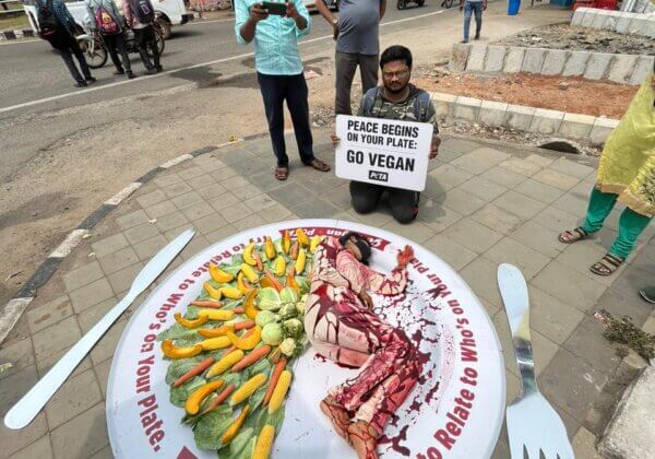 ‘Bloodied’ Woman ‘Served’ on a Plate to Urge People to Go Vegan Ahead of Vegetarian Awareness Month