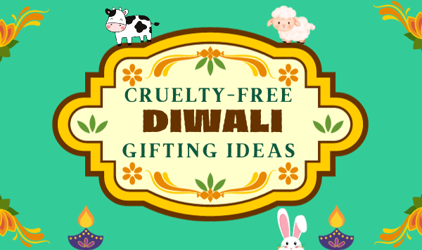 Cruelty-Free and Compassionate Gifting: A Guide to Diwali Shopping
