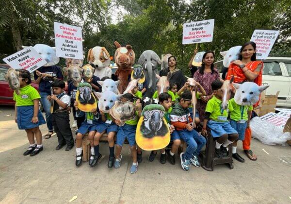 Little Millennium Schoolchildren Joined ‘Elephant’, ‘Horse’, and ‘Dog’ in Urging the Public to Say No to Animal Circuses