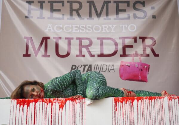 ‘खून से लथपथ’ एवं ‘उधड़ी चमड़ी’ के रूप में प्रदर्शन कर PETA इंडिया की निदेशक ने हर्मेस द्वारा जानवरों पर किए जाने वाले अत्याचारों की निंदा की