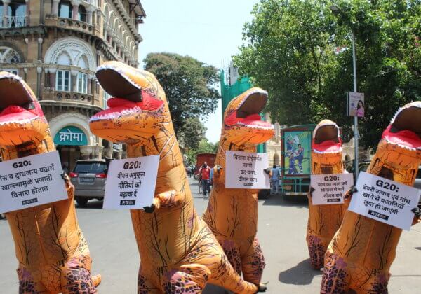 Transforming Beliefs: PETA India’s Most Dazzling Demonstrations of 2023